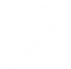 ess logos (3).png