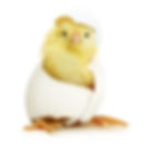 AdobeStock_69872266.jpeg