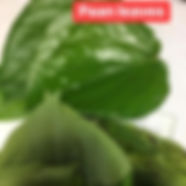 paan_edited.jpg