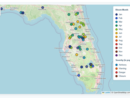 Florida's Harmful Algae Blooms: A Year-Round Freshwater HAB Problem: Cyanobacteria From January Throughout The Year