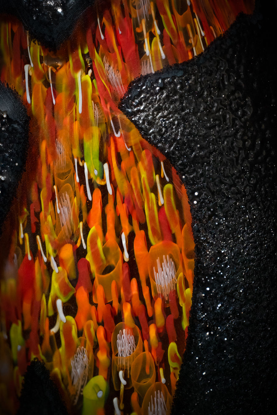 Thumbnail: Hānau Peak