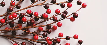 Decorative Berries