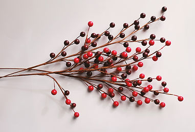Decorative Berries
