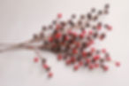 Decorative Berries