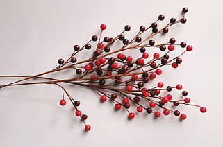 Decorative Berries
