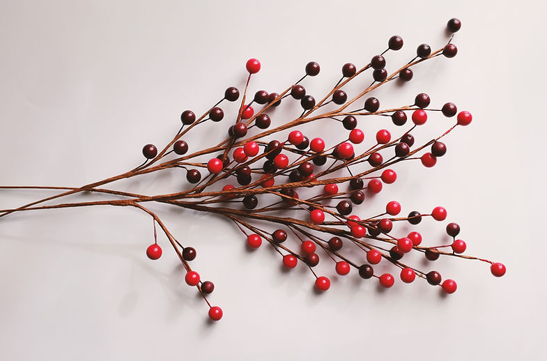 Decorative Berries