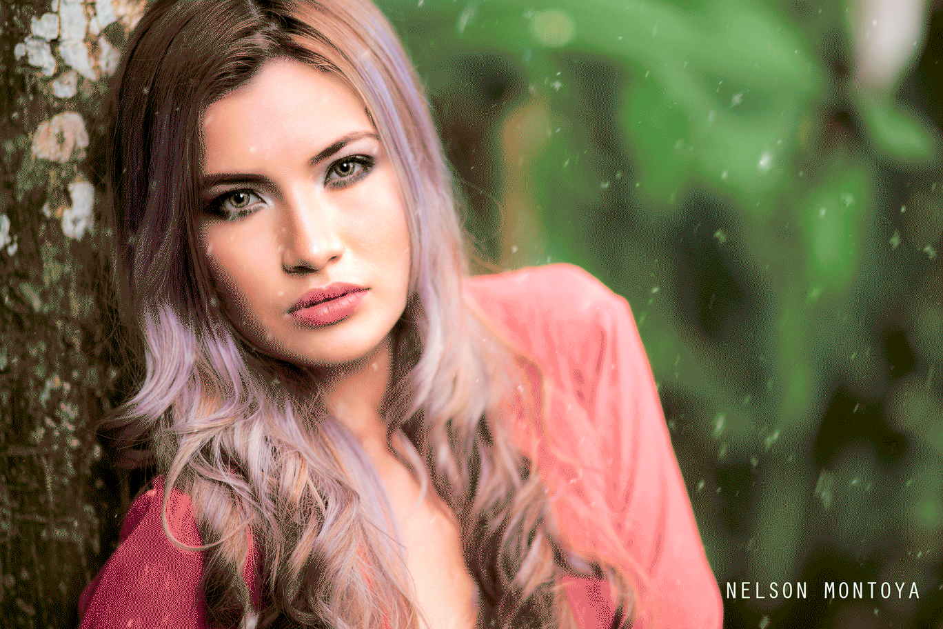 NAVIDAD2