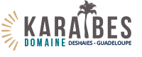 logokaraibes-97126.png