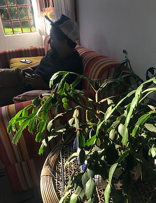 IMG_9775.JPEG