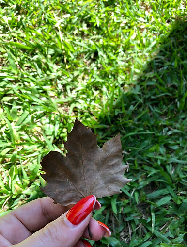 IMG_9666.JPEG