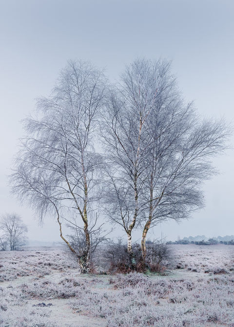 Matt Wardle Photography
New Forest landscape photographer
UK landscape photography prints
Nature photography prints for sale
British landscape photography
New Forest nature photography
UK travel photography prints
Fine art landscape photography UK
Street photography UK photographer
Wall art photography prints UK
Home decor photography prints
Office wall art photography
Limited edition photography prints
Professional landscape photographer UK
UK nature and wildlife photography
Contemporary street photography prints
Hampshire landscape photographer
Scenic UK photography wall art
Photography prints for home and office
UK fine art photography store
