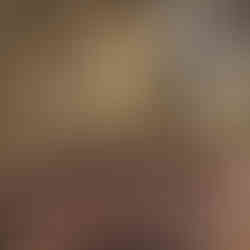 New Forest Autumn Photography