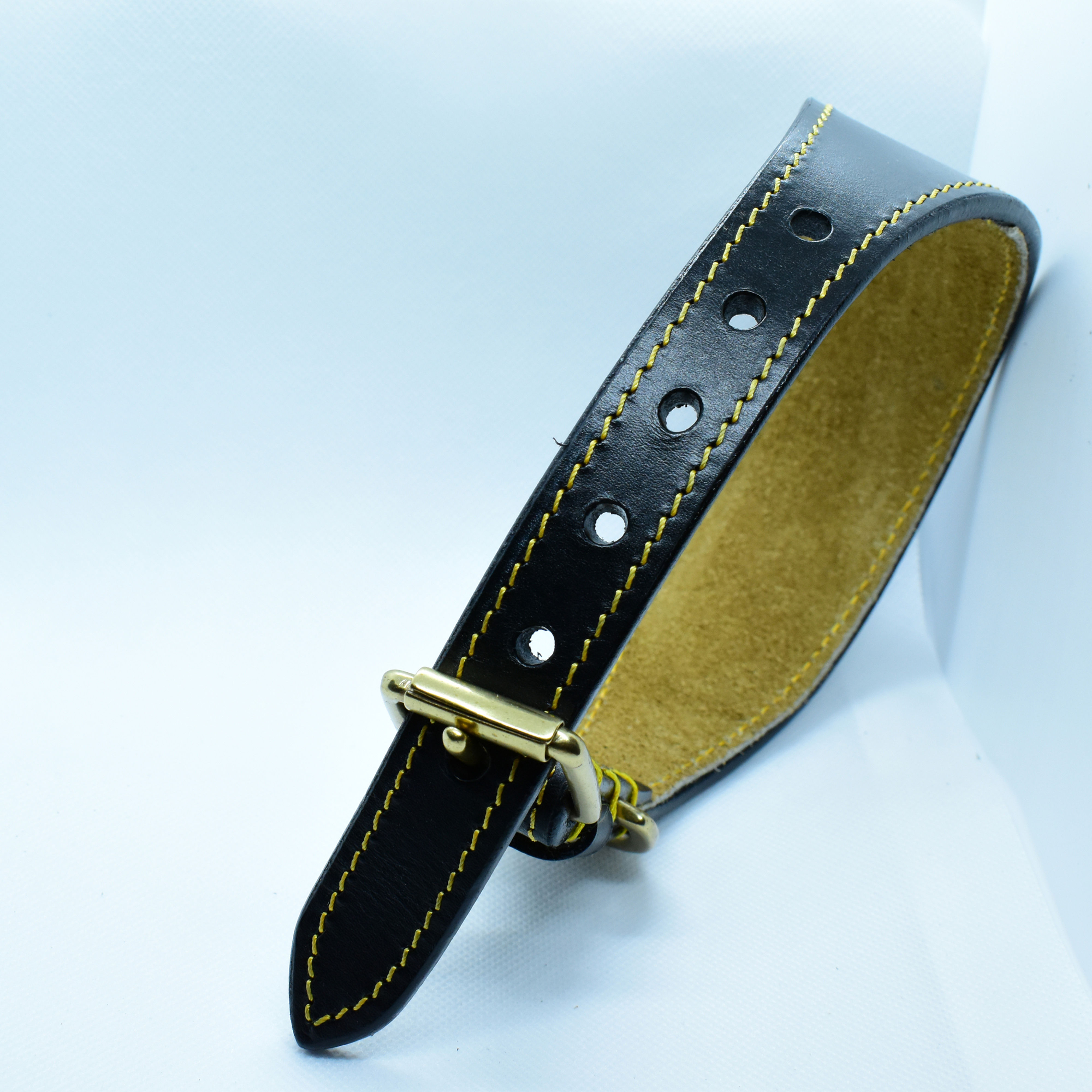 Leather Lead and Collar in Black or Tan options 