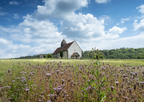 Matt Wardle Photography
New Forest landscape photographer
UK landscape photography prints
Nature photography prints for sale
British landscape photography
New Forest nature photography
UK travel photography prints
Fine art landscape photography UK
Street photography UK photographer
Wall art photography prints UK
Home decor photography prints
Office wall art photography
Limited edition photography prints
Professional landscape photographer UK
UK nature and wildlife photography
Contemporary street photography prints
Hampshire landscape photographer
Scenic UK photography wall art
Photography prints for home and office
UK fine art photography store