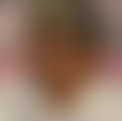 In the Light of a Guiding Star: