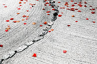 _MG_4804BOOKNEW copy_edited.jpg