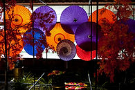 _MG._3874NEWBOOK copy.jpg