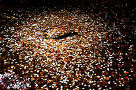 _MG_4825 BOOKNEWpsda copy.jpg