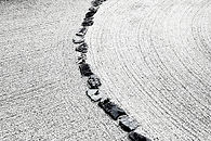 _MG_4800BOOKNEW copy_edited.jpg