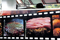 _MG_5014BOOOK NEWcopy_edited.jpg