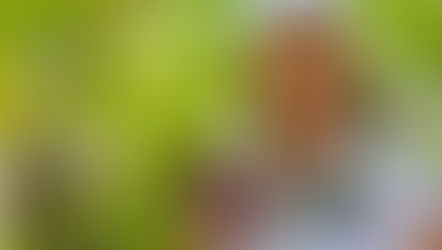 LA MEDIUM MAS RECONOCIDA REGRESA A CÓRDOBA