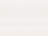 bg-history.png