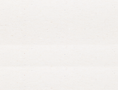 bg-history.png