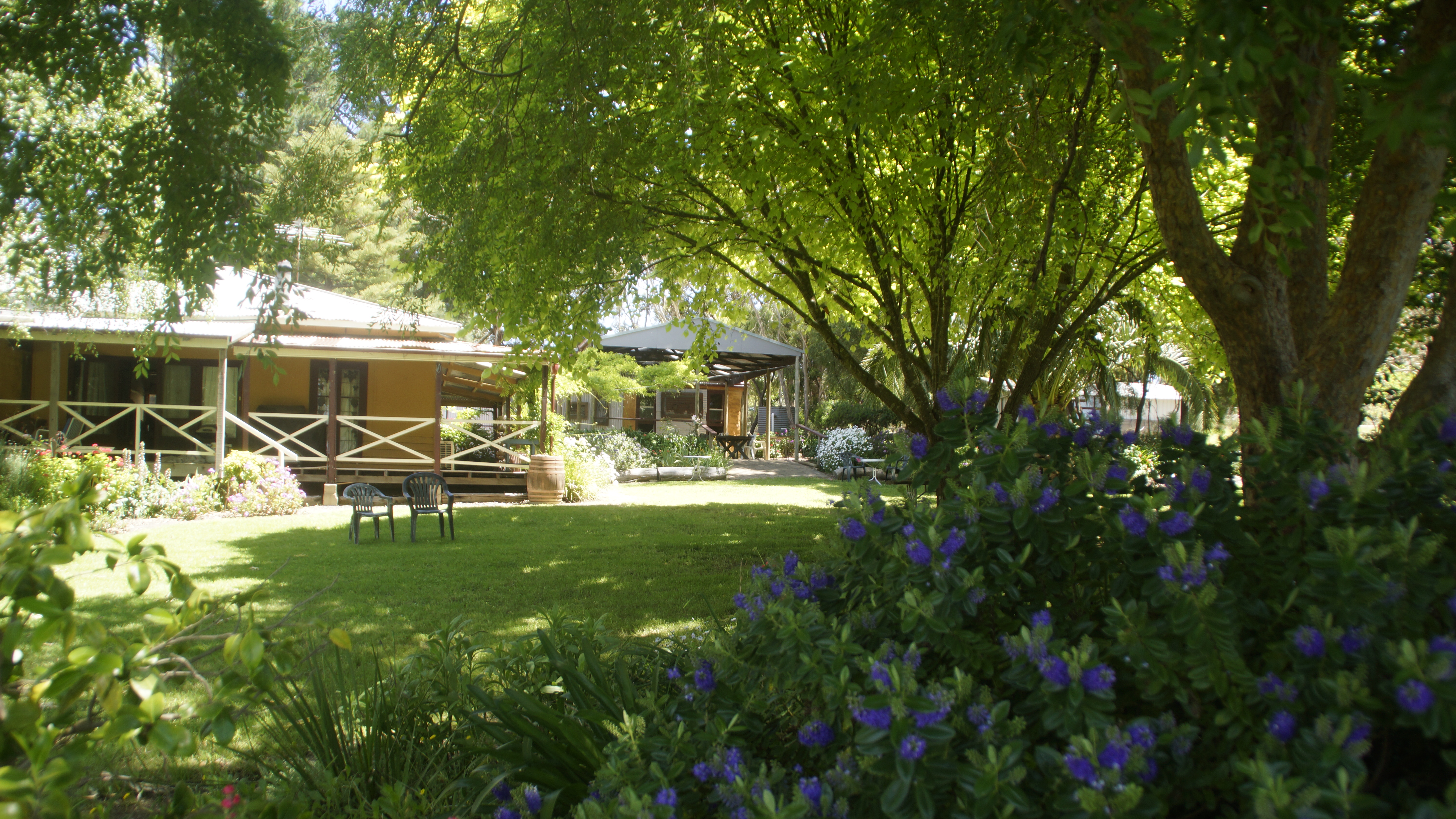 Magpie Springs