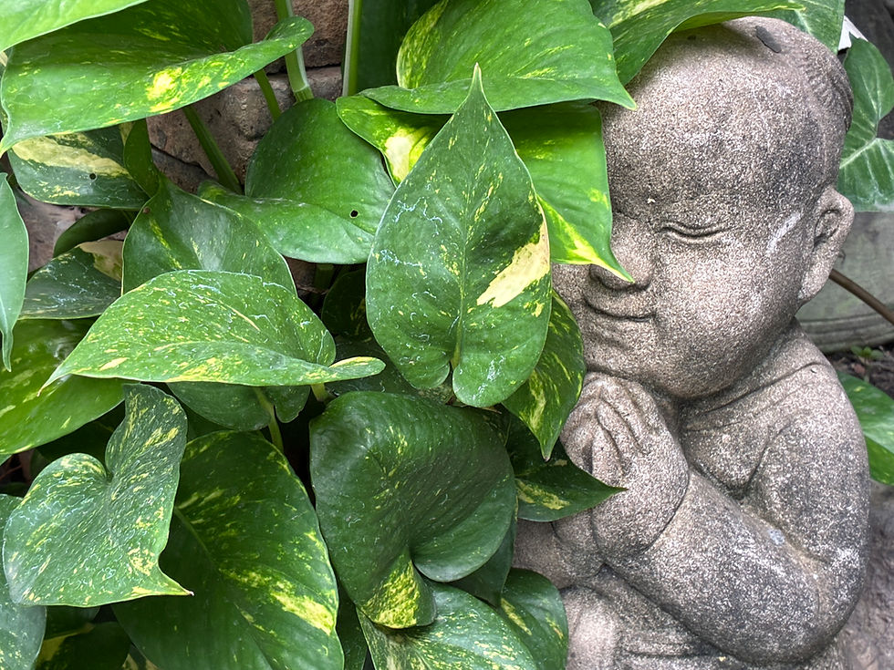 Series 2 - Friday Meditation