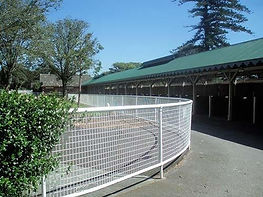 weldmesh-fencing.jpg