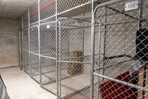 open and empty apartment storage cage.jpg
