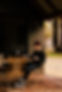 Littlewood-15.jpg