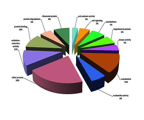 Matplotlib-pie-chart-using-legend-5.png