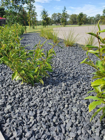 Front yard landscaping ideas, native landscapes, landscape construction, Xanthorrhoea, feature plants, rural living, feature rock, boulders, dragon tree, Dracaena Draco, 