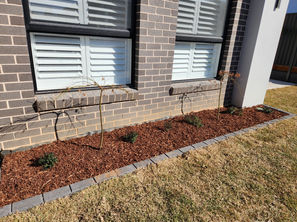 Front yard landscaping ideas, landscape construction, garden bed, weeping maples