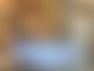 【 非常にお買い得な処分セール品(展示現品ショーケース No.228) 】