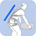 LS_BackMuscle.png