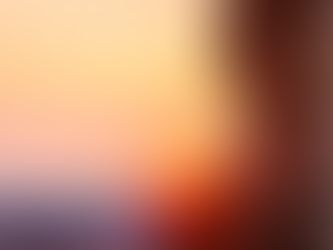 How We Source - A Visit With Marci Taylor, Mantra Sedona