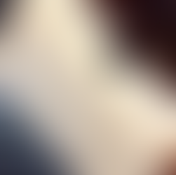 A side Cut out of the PinDrop Cabin Walls showing the Closed cell foam between the aluminum exterior, baltic birch interior, and steel frame