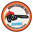 LOGO MINIAUTODROMO MASSA POLINI -Photoroom.png