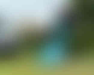 At the Sculpture Garden