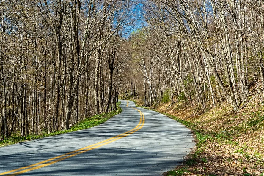 Lincoln Gap Road 