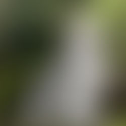 VT 251: The Heart of The Greens and Scenic Route 100