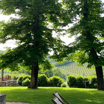 Dispatch: The Back Roads of Tuscany & Umbria