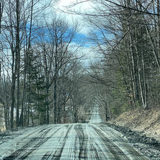 A dirt road during mud season