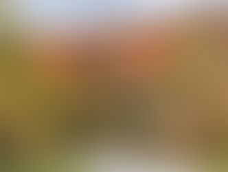 VT 251: The Hills Are Calling, And I Must Go