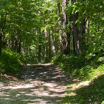 VT 251: Vanished Towns In Southern Vermont (Somerset & Glastenbury)