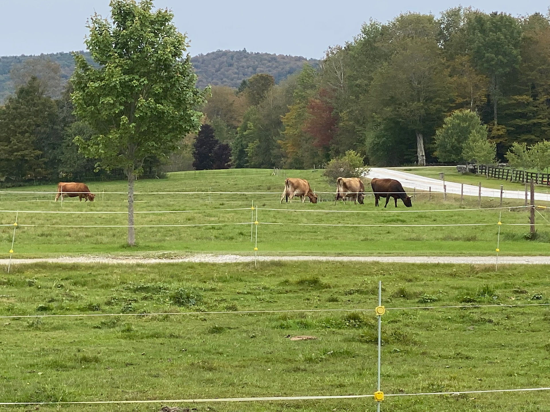 More farmland