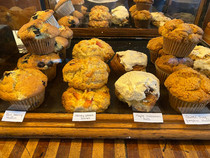 At the Sculpture Garden