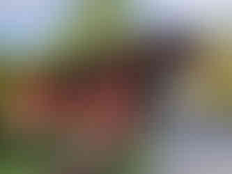 Henry Covered Bridge, Bennington, VT